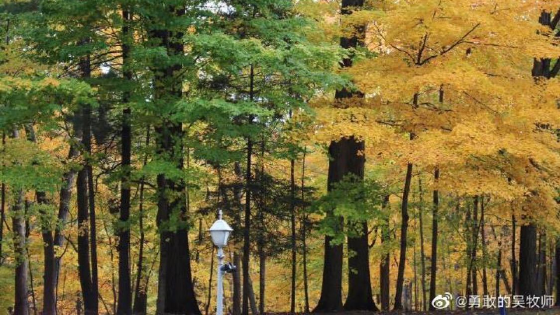 一键清粉丝快手